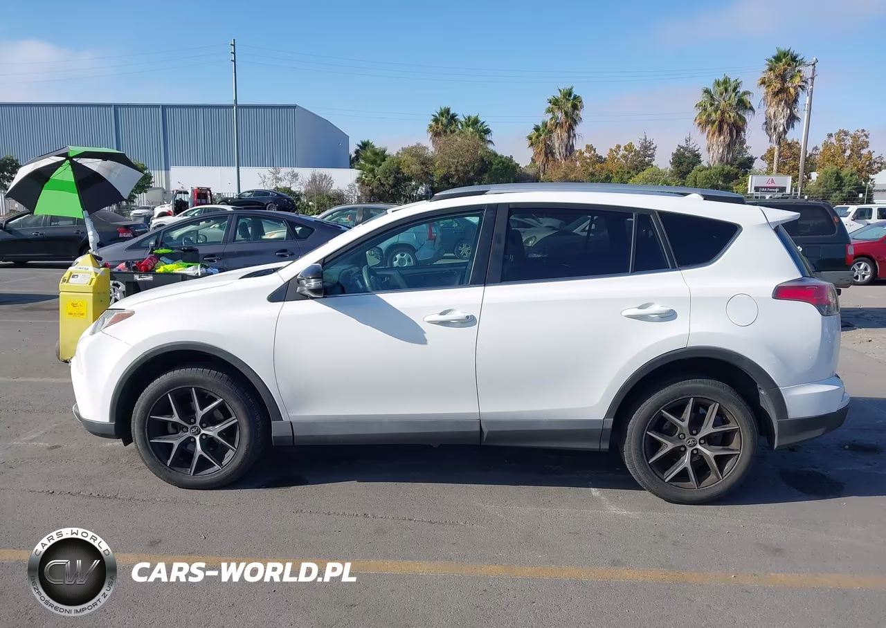 2016 Toyota Rav4 Se VIN:2T3NFREV9GW256950 - 14