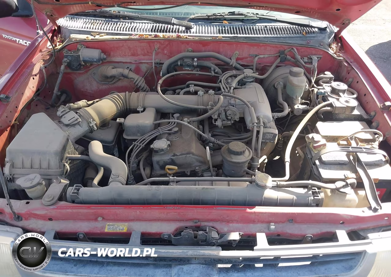 1998 Toyota Tacoma VIN:4TANL42N6WZ014773 - 10