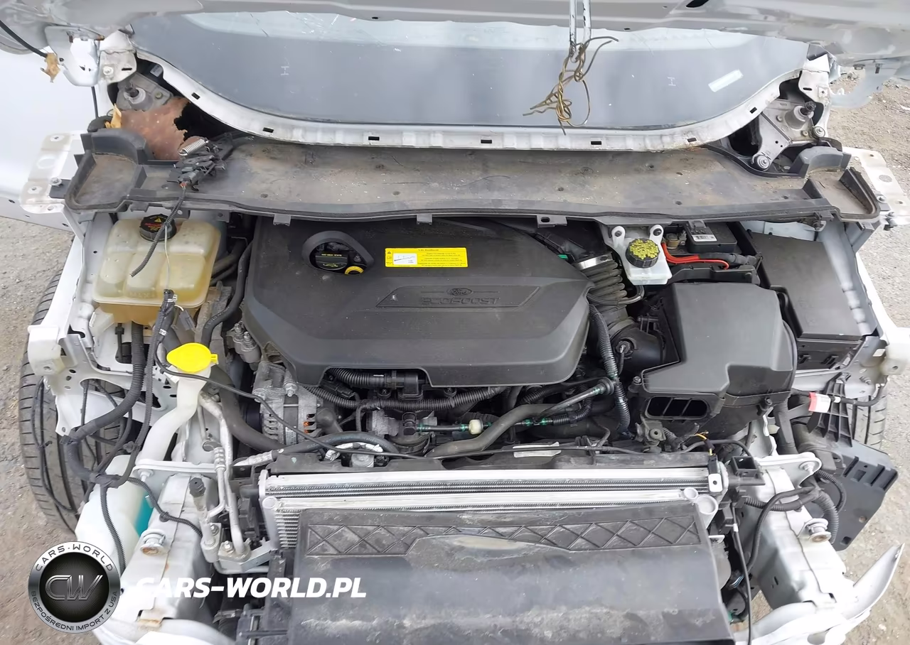 2016 Ford Escape Se VIN:1FMCU0GX1GUC52309 - 10