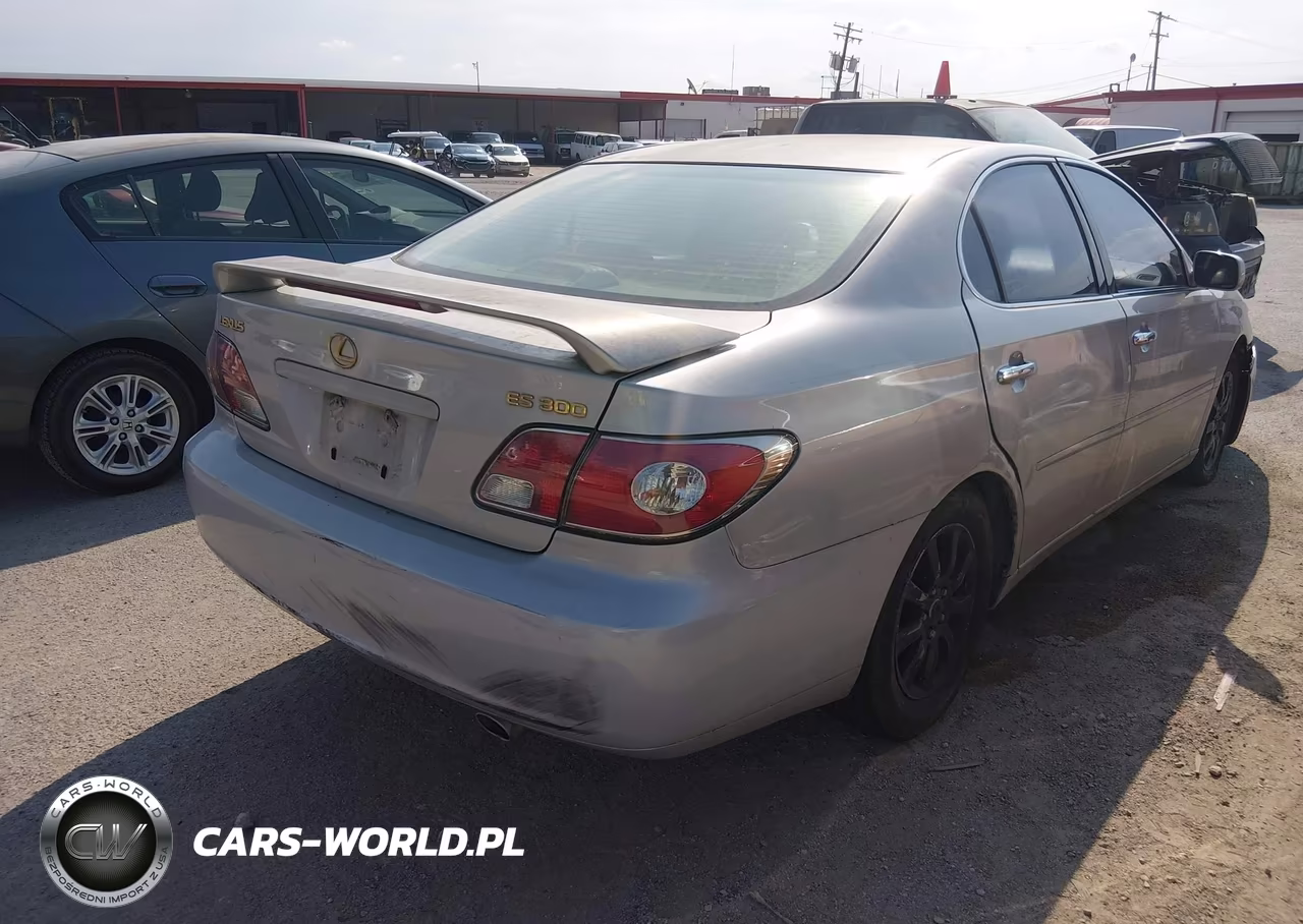 2003 Lexus Es 300 VIN:JTHBF30G236006176 - 4