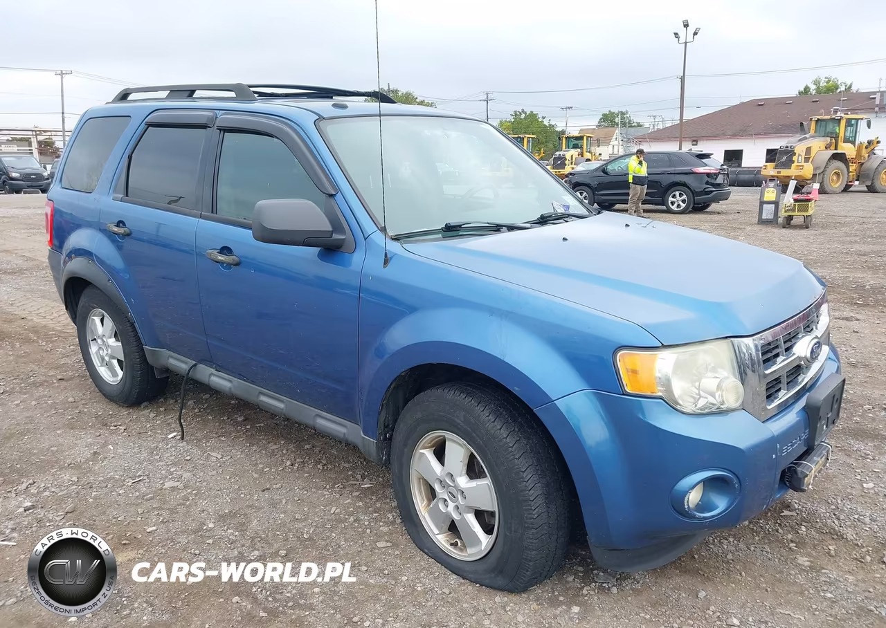 2010 Ford Escape Xlt