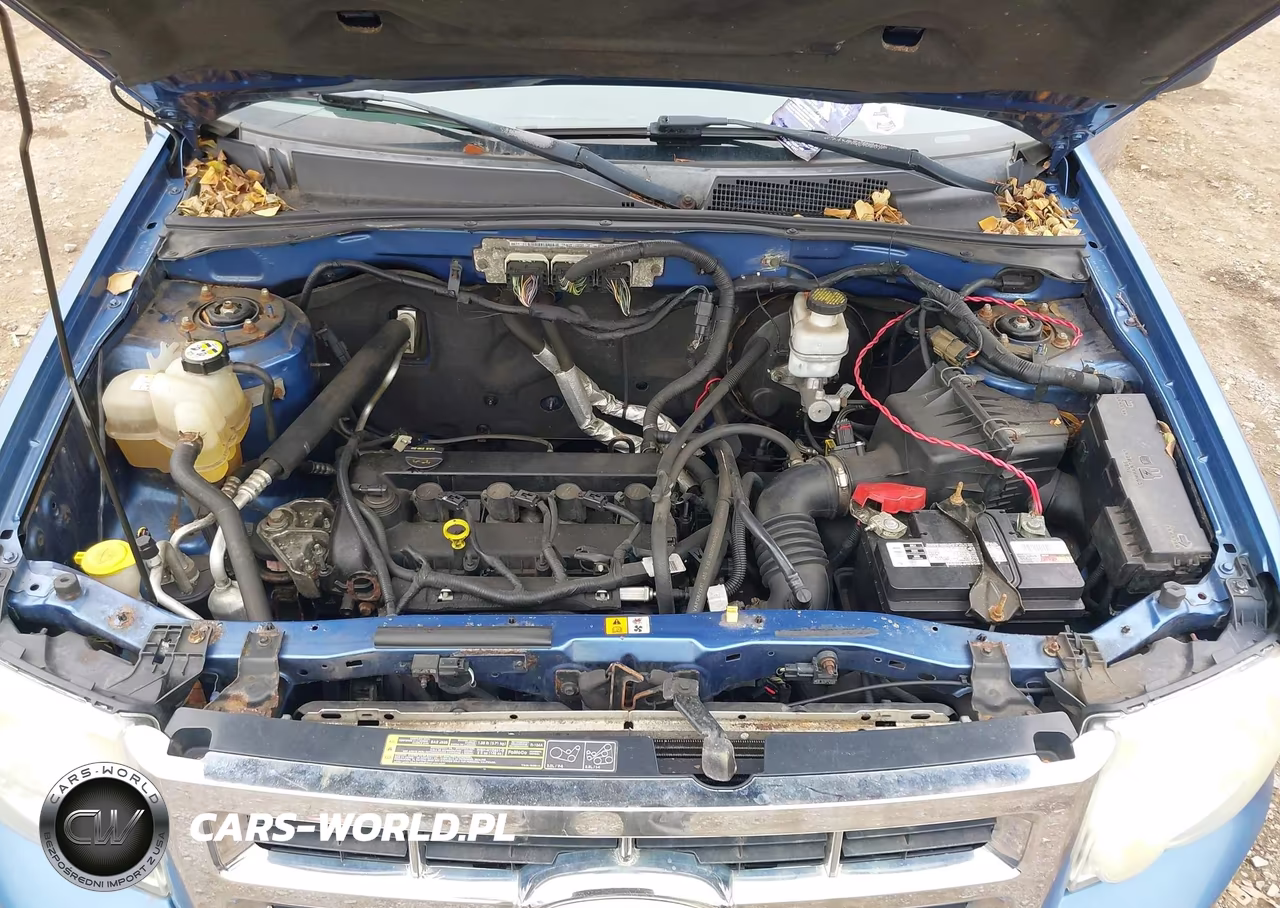 2010 Ford Escape Xlt VIN:1FMCU0D73AKB90824 - 10