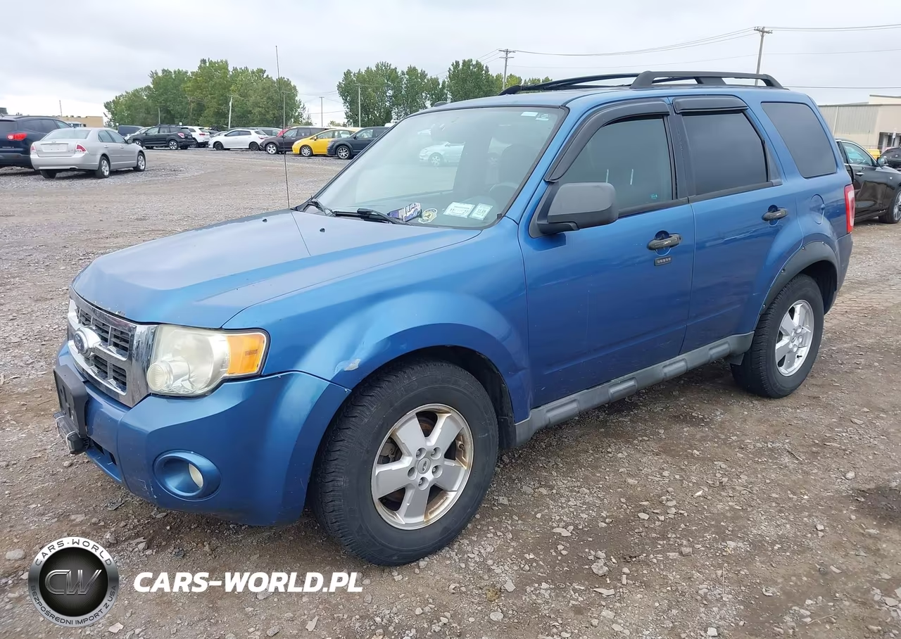 2010 Ford Escape Xlt VIN:1FMCU0D73AKB90824 - 2