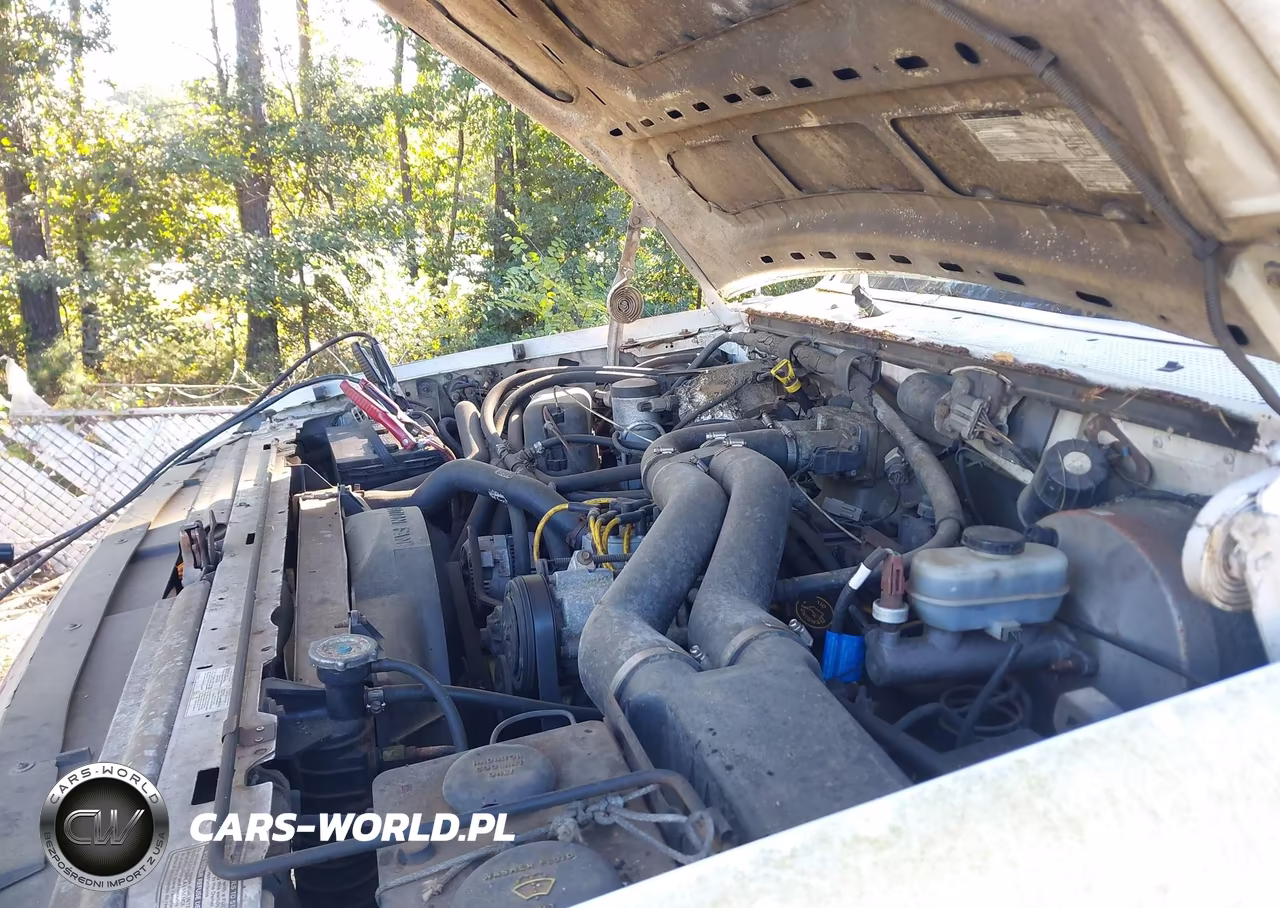1996 Ford F250 VIN:1FTHW25G0TEA46258 - 10