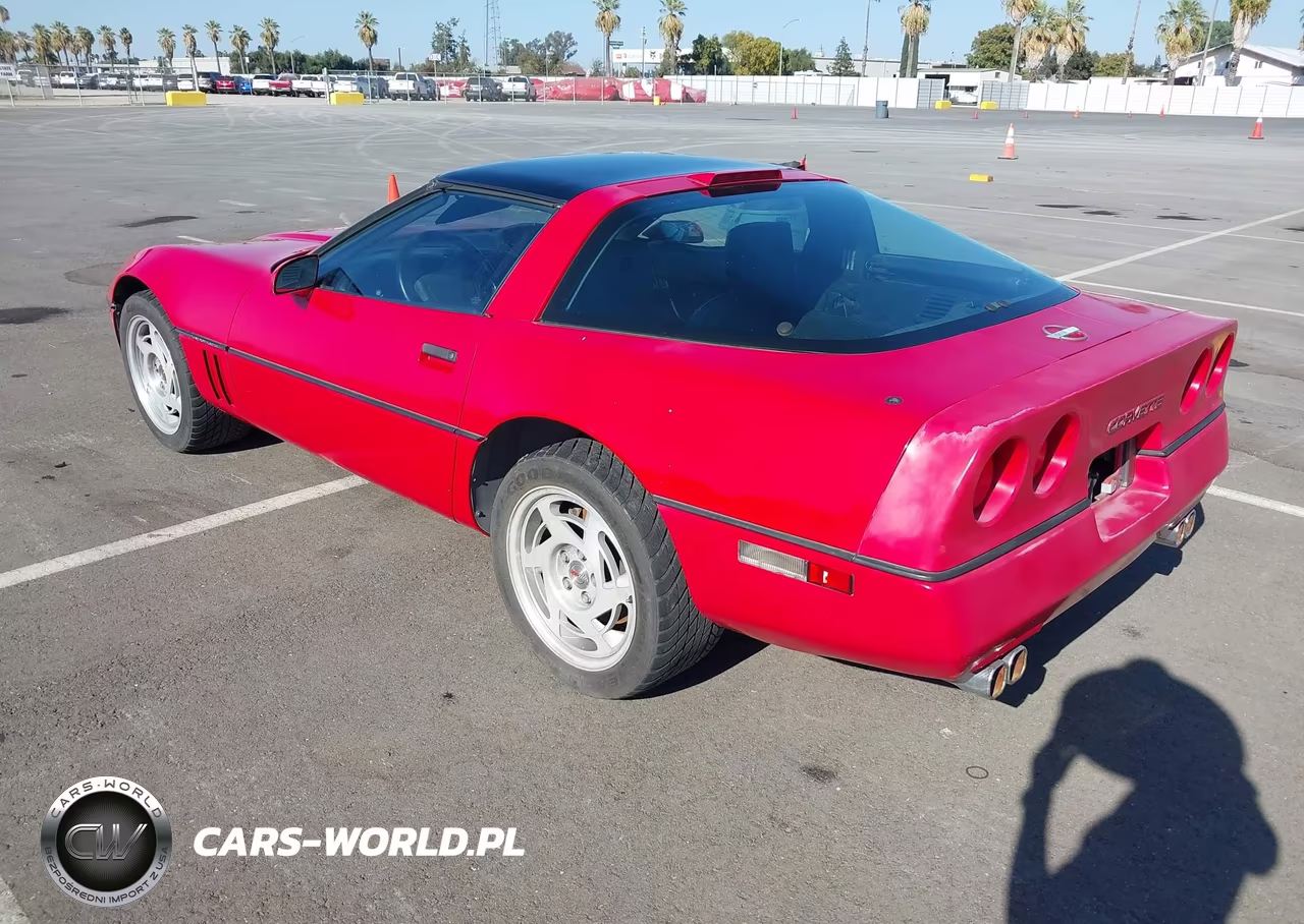 1990 Chevrolet Corvette VIN:1G1YY2385L5104198 - 3