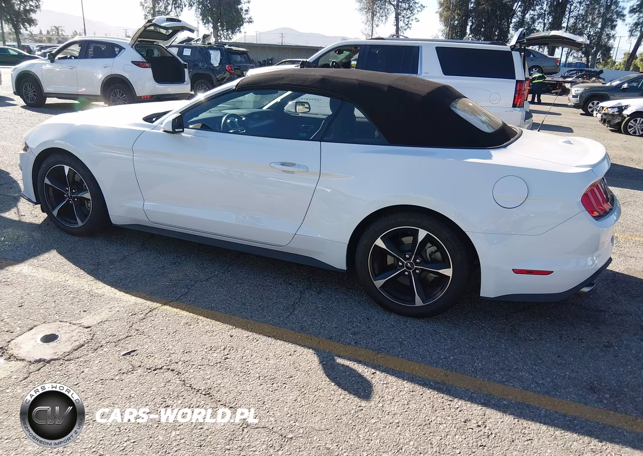 2018 Ford Mustang Ecoboost VIN:1FATP8UH7J5110853 - 14