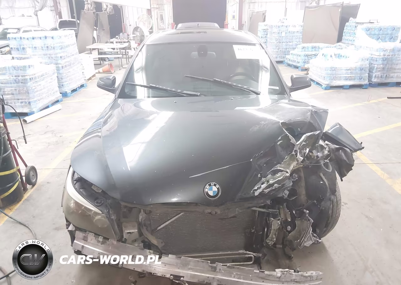 2010 BMW 550I VIN:WBANW5C59ACT56789 - 12