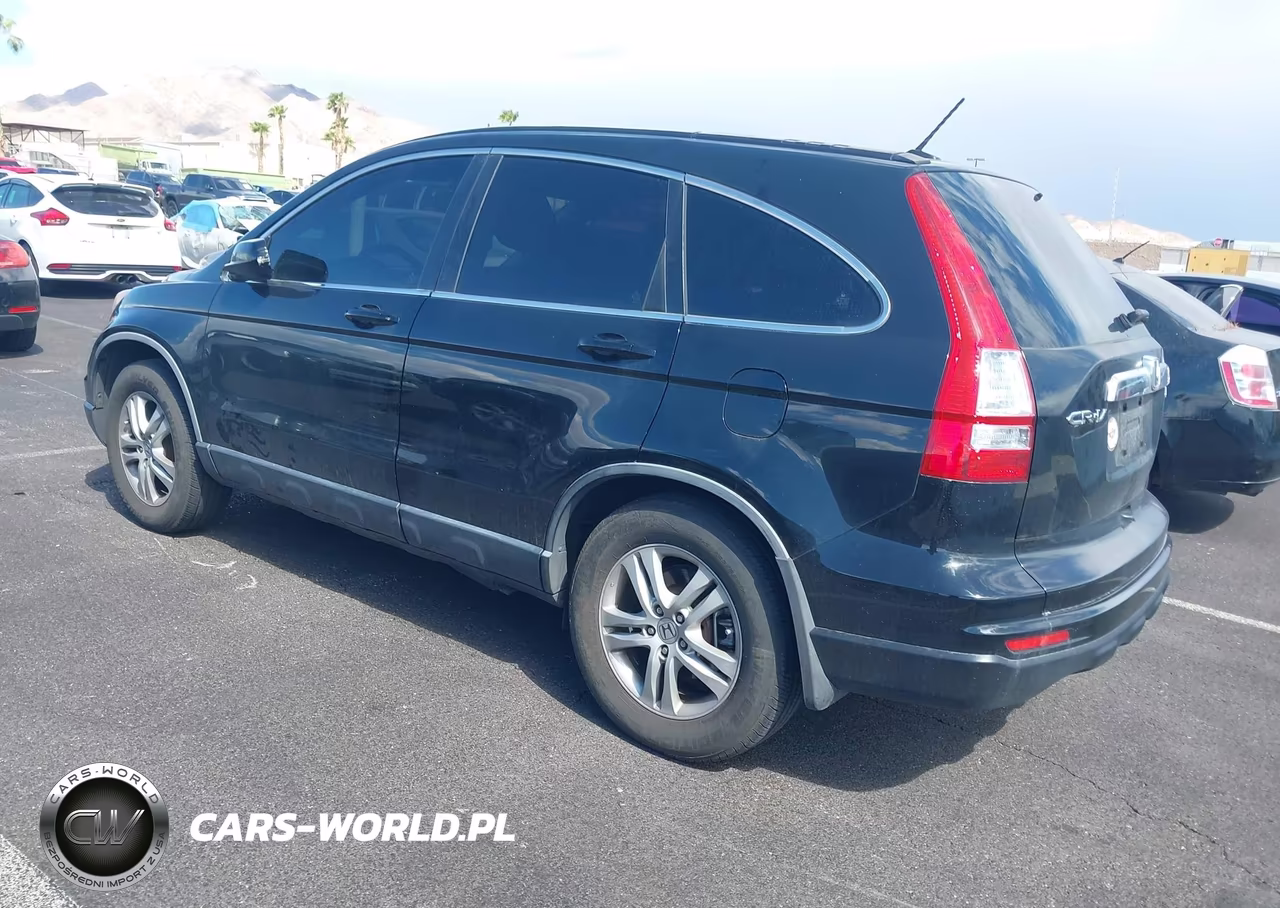 2010 Honda Cr-V Ex-L VIN:JHLRE4H73AC000997 - 3