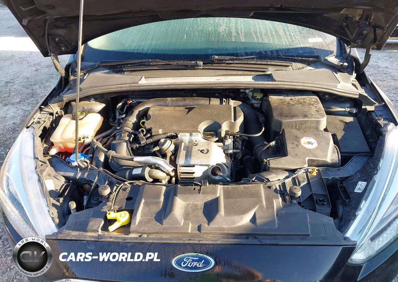 2015 Ford Focus Se VIN:1FADP3KE9FL254231 - 10
