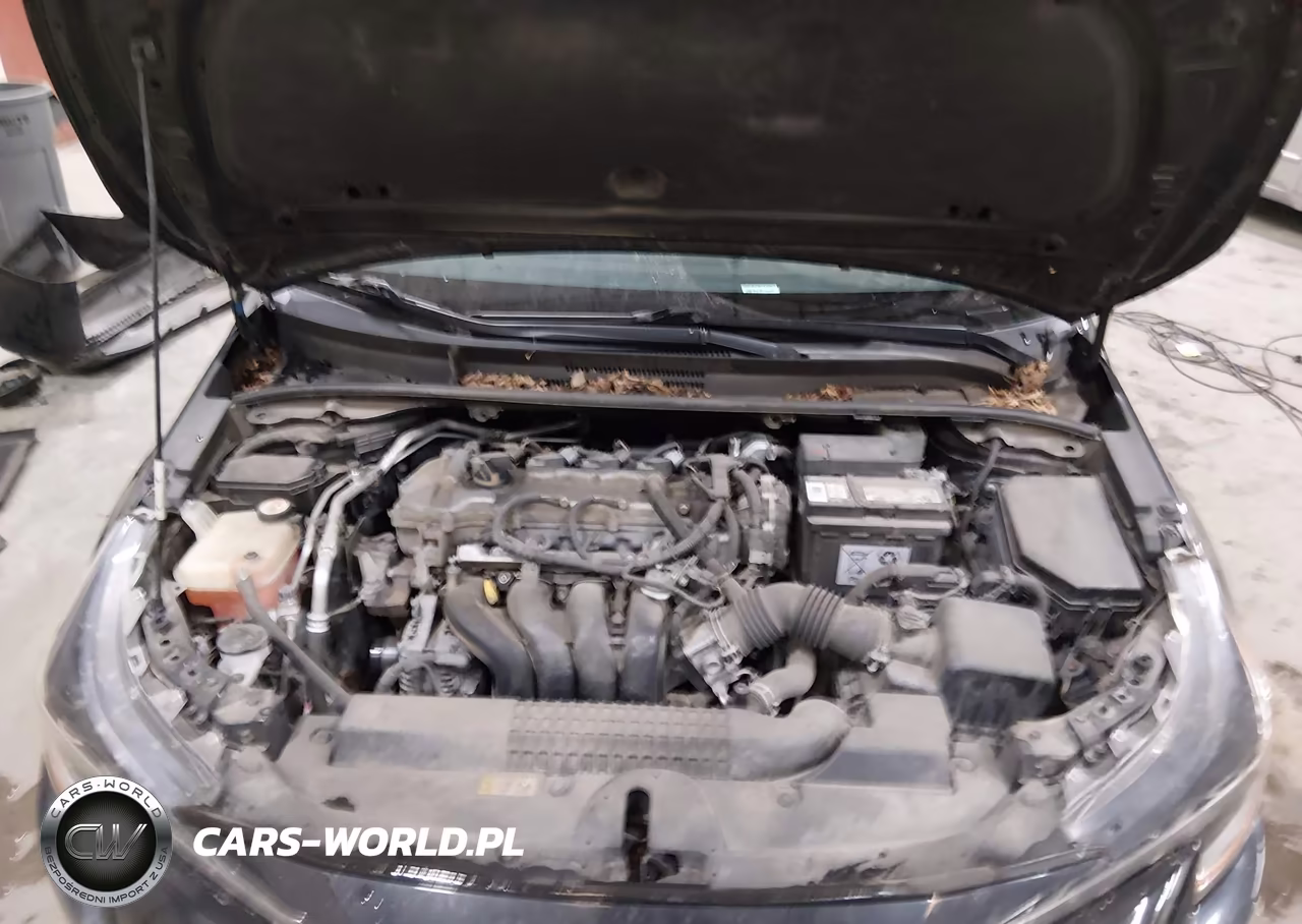 2020 Toyota Corolla Xle VIN:JTDFPRAE1LJ074790 - 10