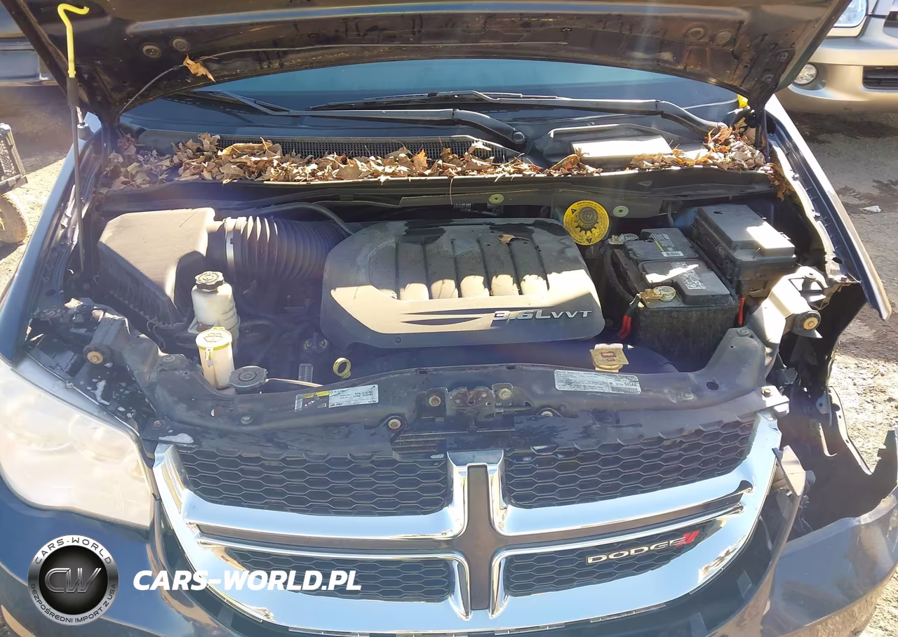 2013 Dodge Grand Caravan American Value Pkg VIN:2C4RDGBG3DR804268 - 10