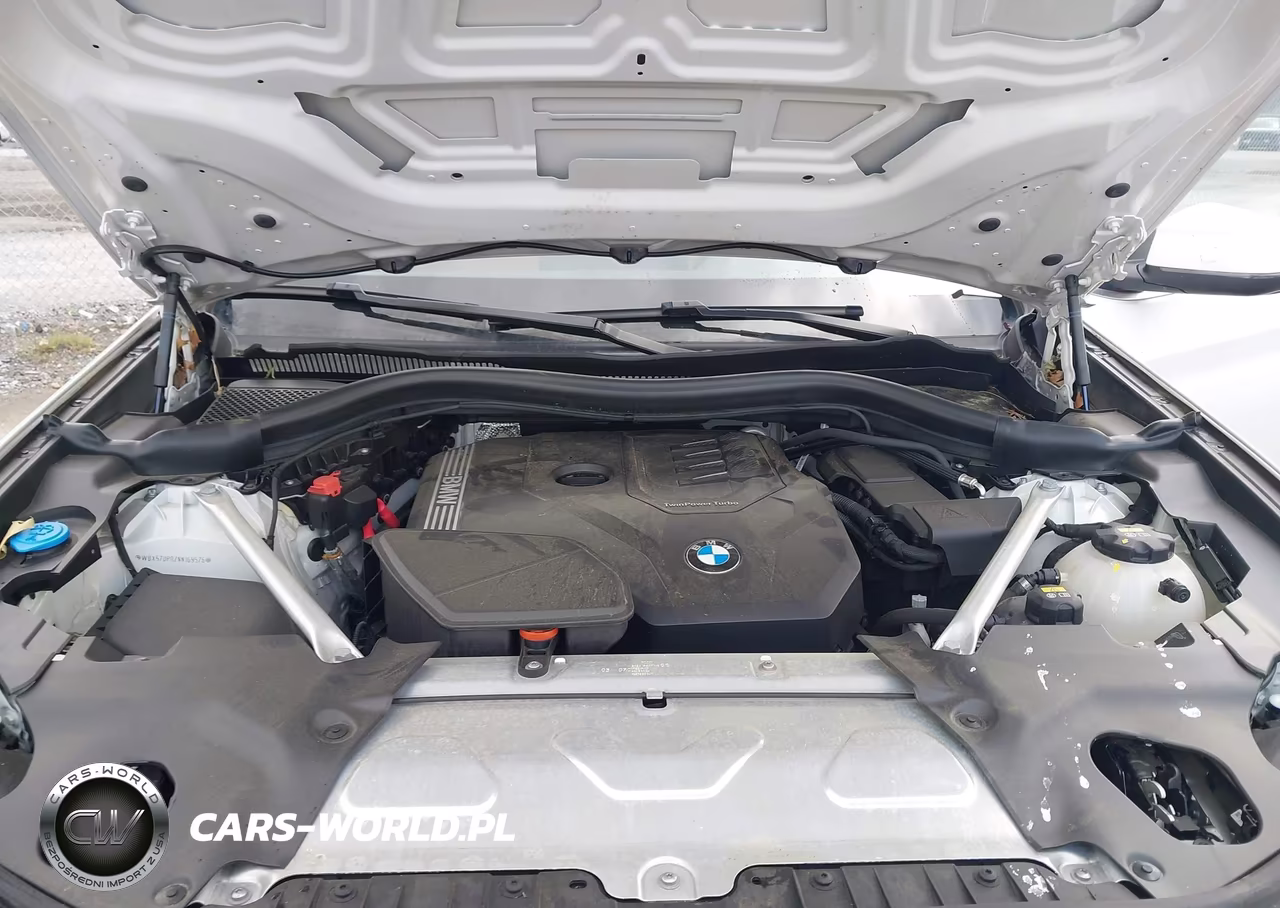 2022 BMW X3 xDrive30I VIN:WBX57DP02NN169576 - 10