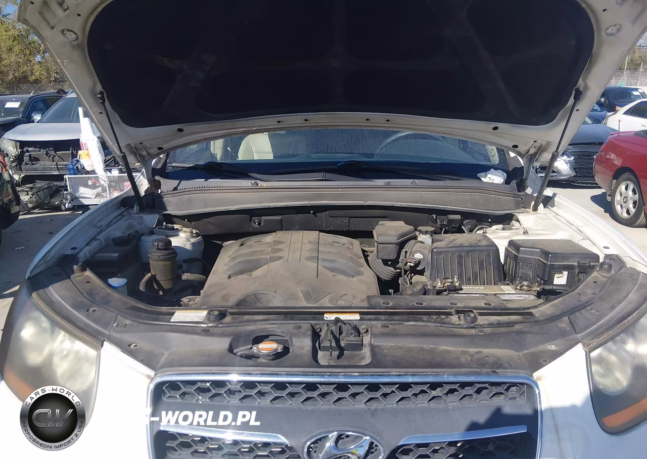 2009 Hyundai Santa Fe Limited VIN:5NMSH13E49H292232 - 10