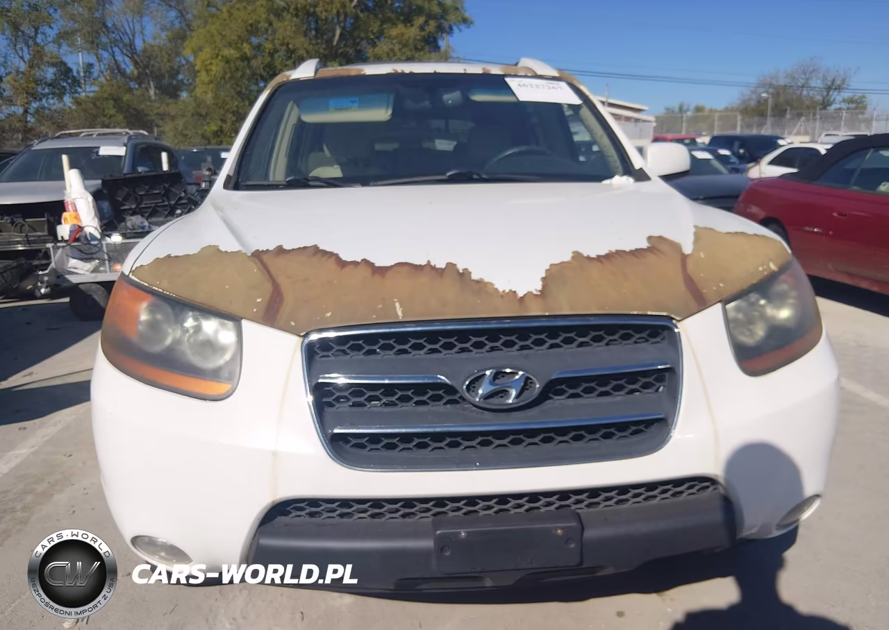 2009 Hyundai Santa Fe Limited VIN:5NMSH13E49H292232 - 6
