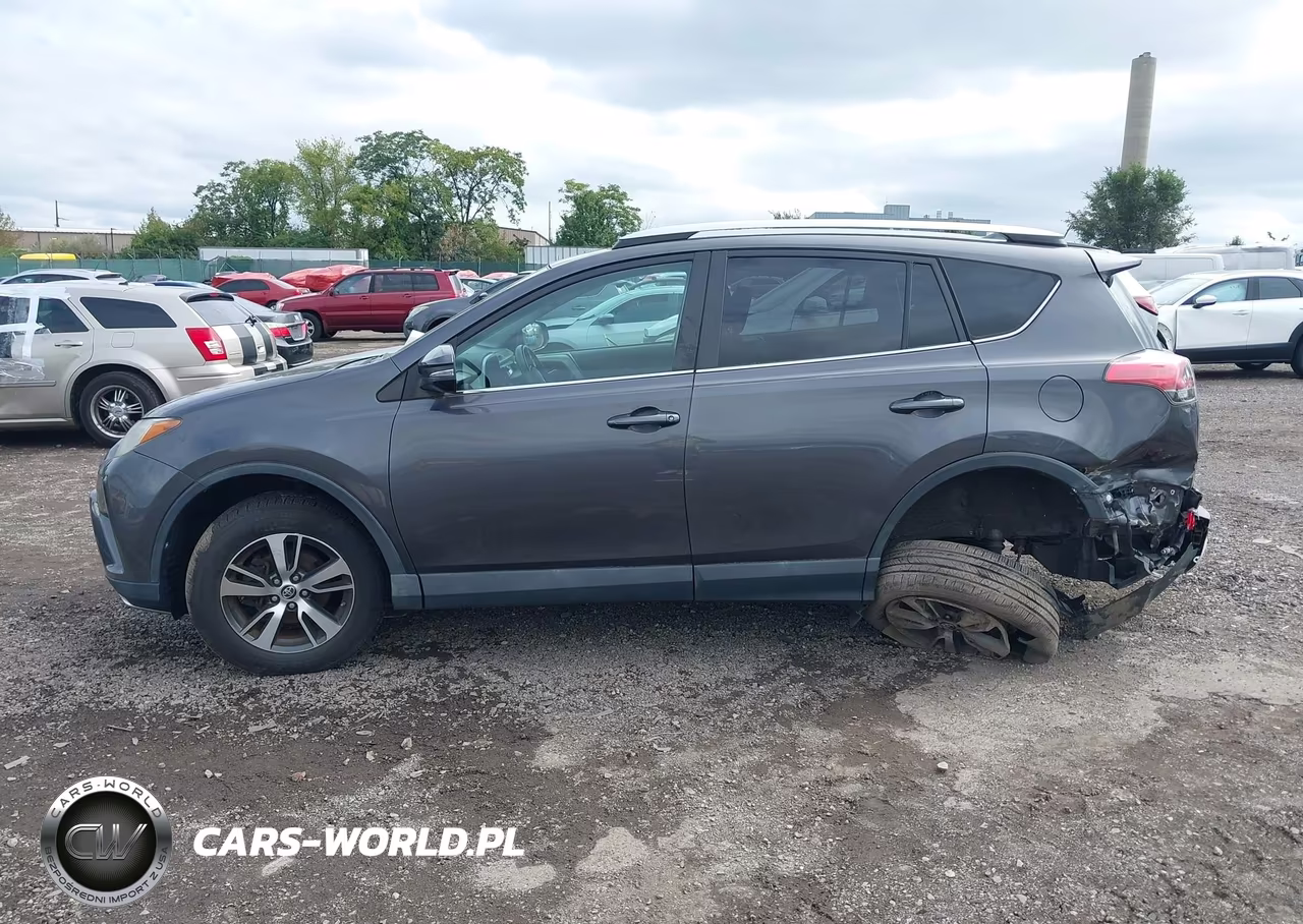2016 Toyota Rav4 Xle VIN:2T3RFREV8GW464979 - 13