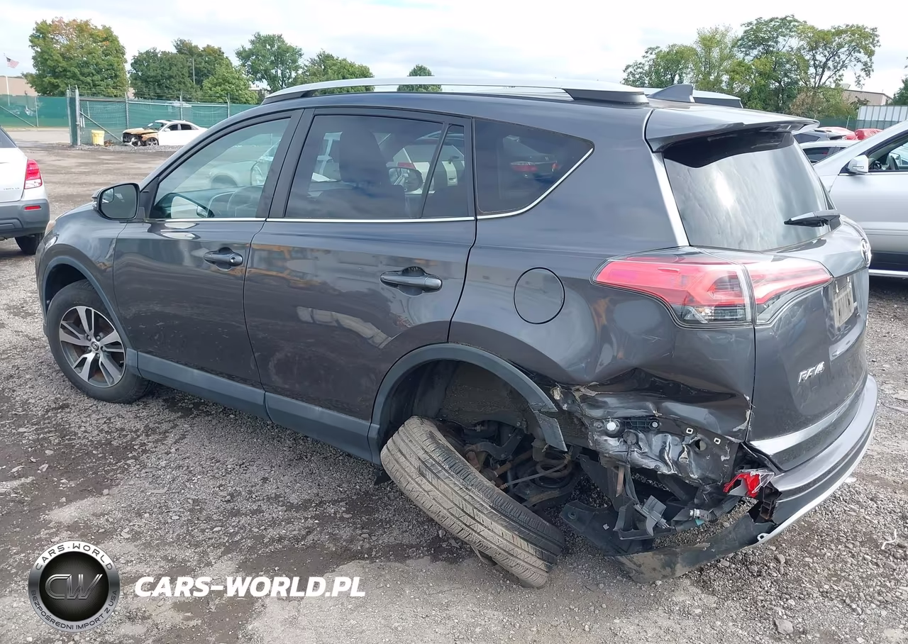 2016 Toyota Rav4 Xle VIN:2T3RFREV8GW464979 - 3