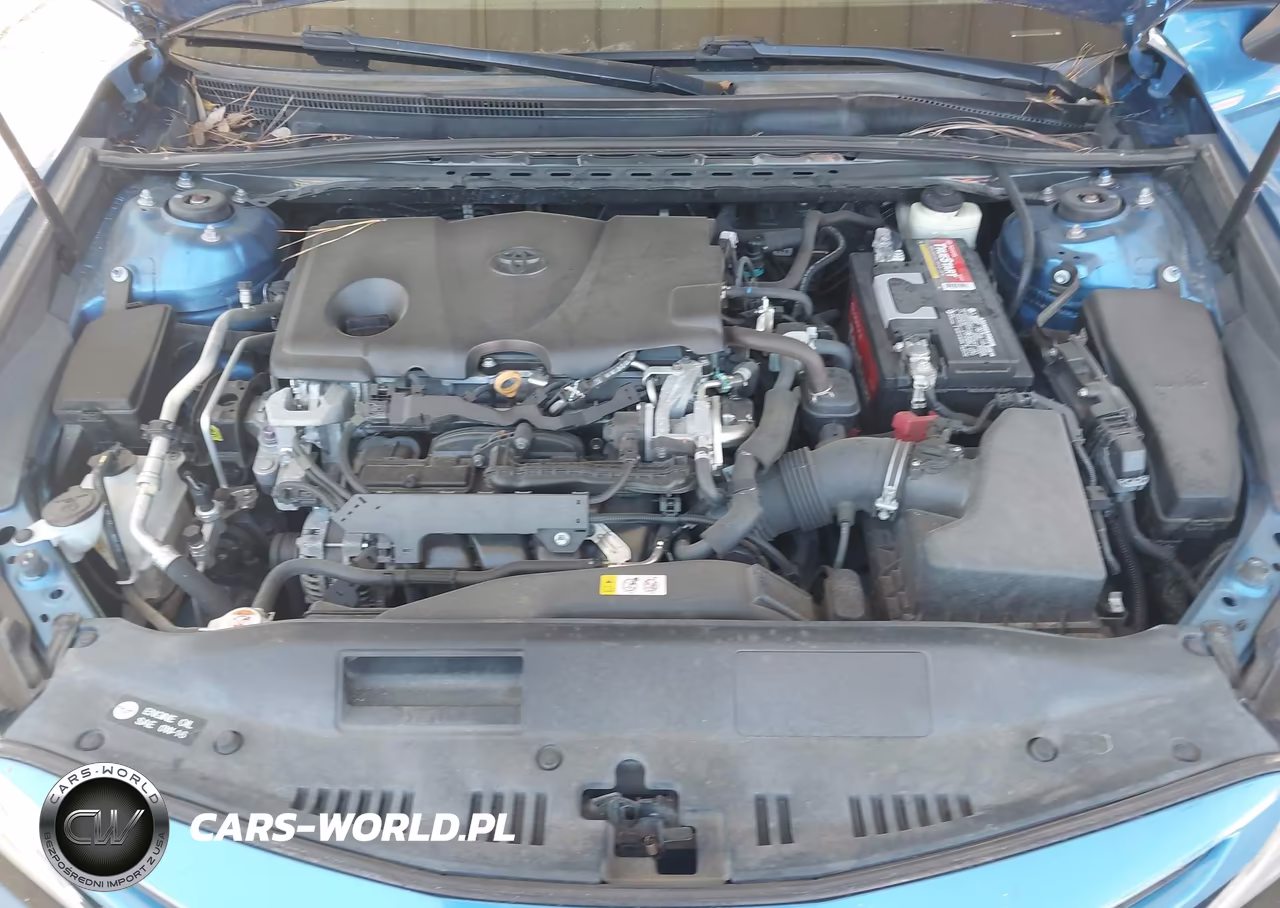 2018 Toyota Camry Xse VIN:4T1B61HK1JU064878 - 10
