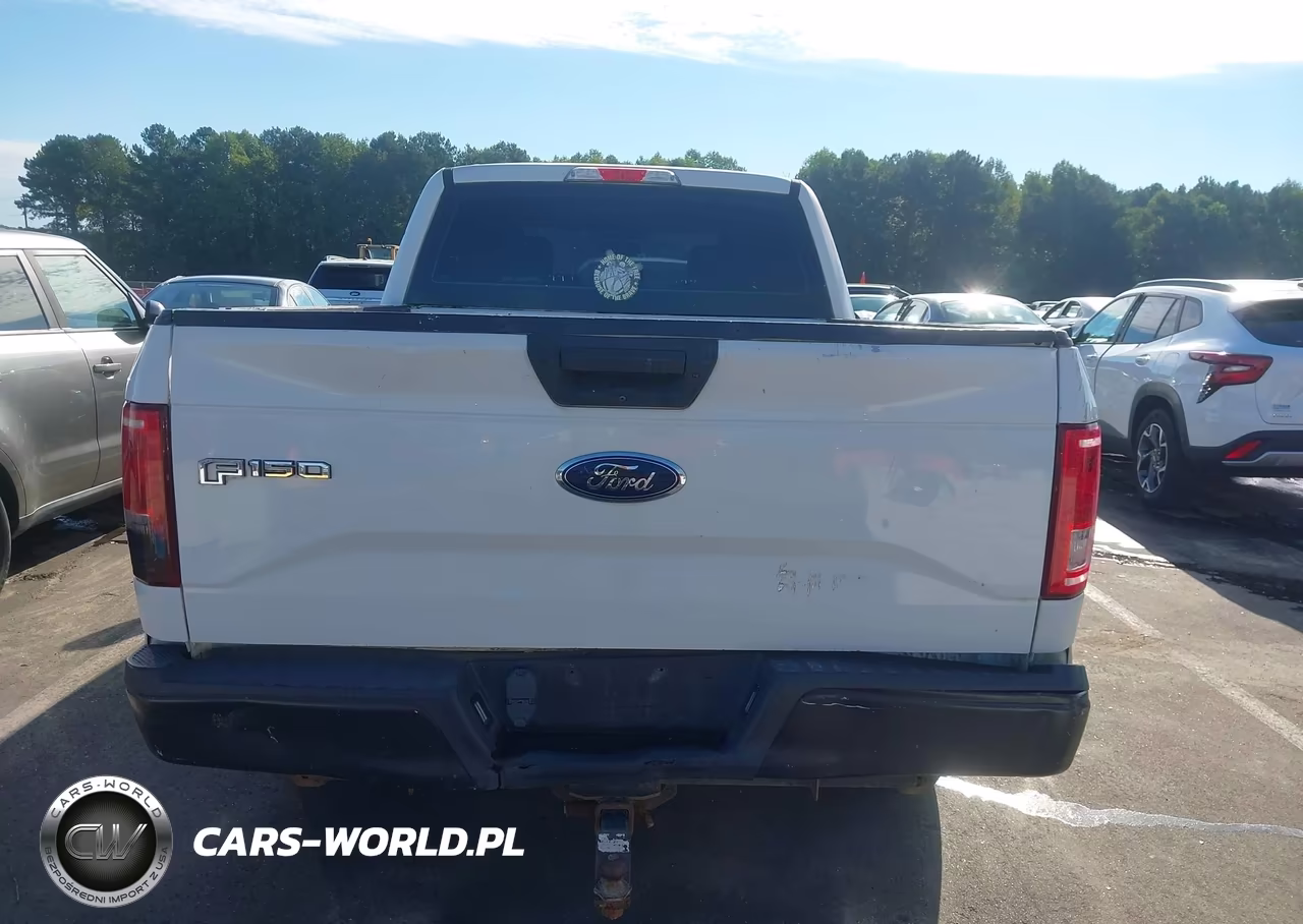 2016 Ford F-150 Xl VIN:1FTEW1CPXGFA58126 - 16