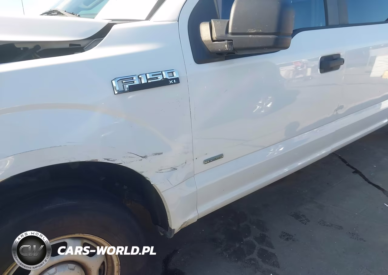 2016 Ford F-150 Xl VIN:1FTEW1CPXGFA58126 - 20