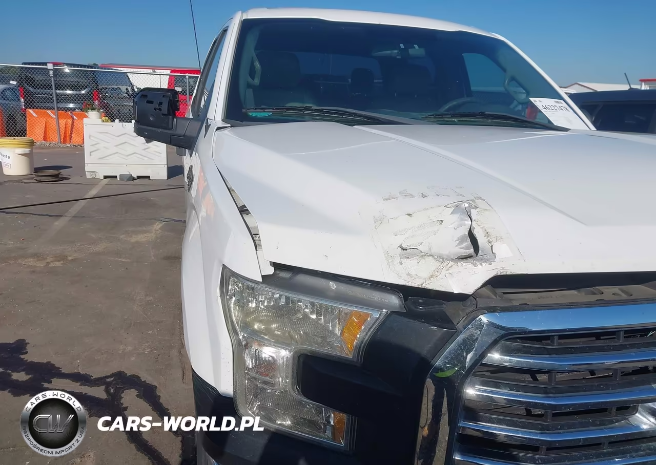 2016 Ford F-150 Xl VIN:1FTEW1CPXGFA58126 - 21
