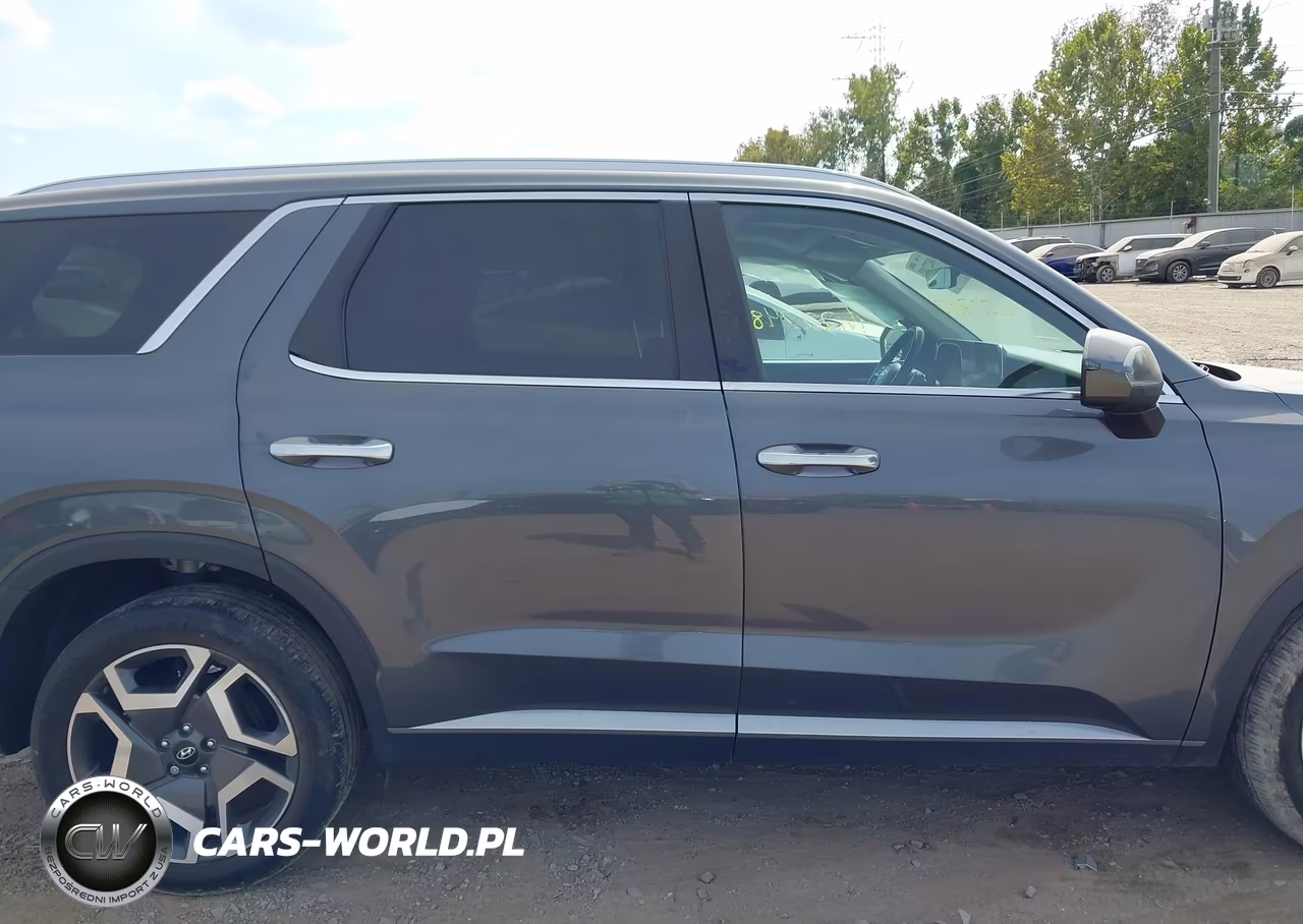 2024 Hyundai Palisade Limited VIN:KM8R5DGE9RU667328 - 13
