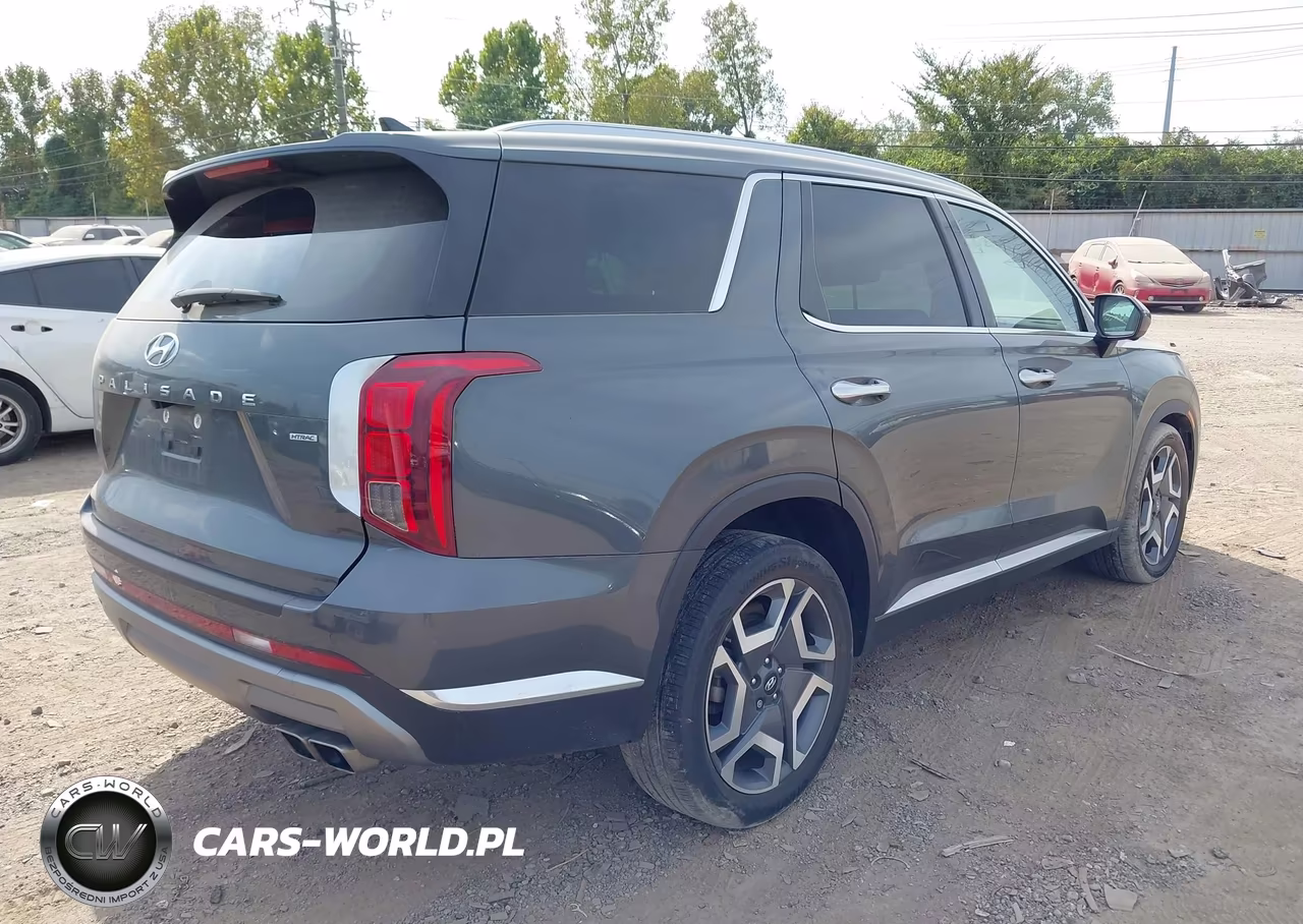 2024 Hyundai Palisade Limited VIN:KM8R5DGE9RU667328 - 4