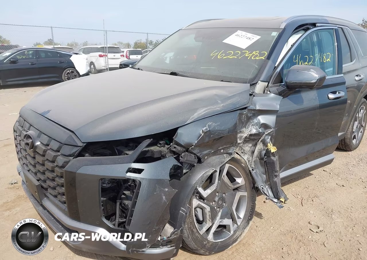 2024 Hyundai Palisade Limited VIN:KM8R5DGE9RU667328 - 6