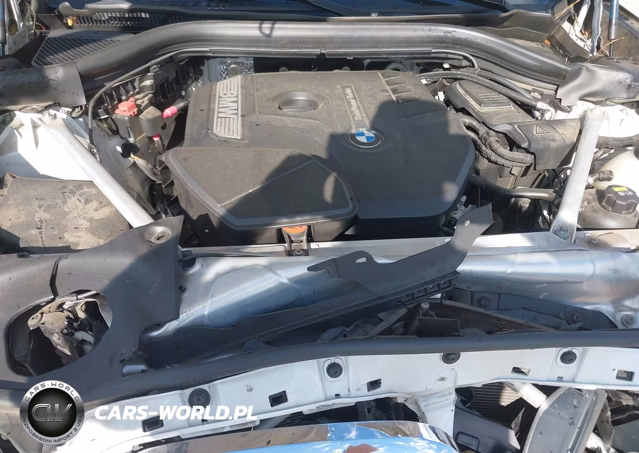 2019 BMW X3 Sdrive30I VIN:5UXTR7C5XKLA48448 - 10