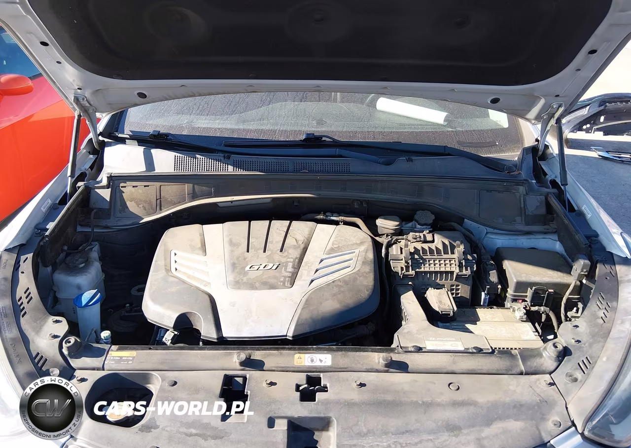 2019 Hyundai Santa Fe Xl Limited Ultimate VIN:KM8SR4HF9KU309200 - 10