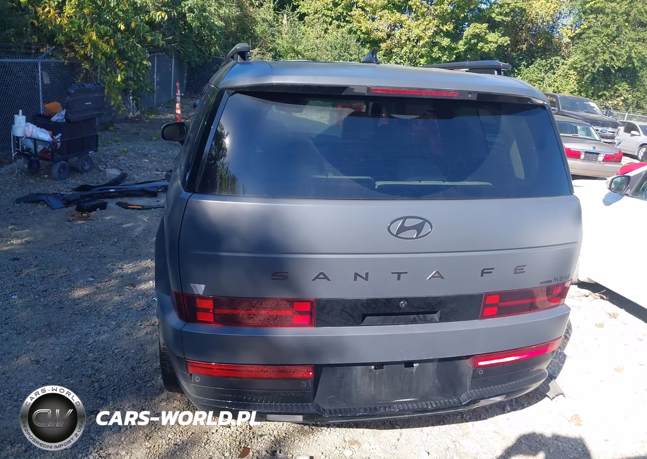 2025 Hyundai Santa Fe Hybrid Calligraphy VIN:5NMP5DG11SH066257 - 17
