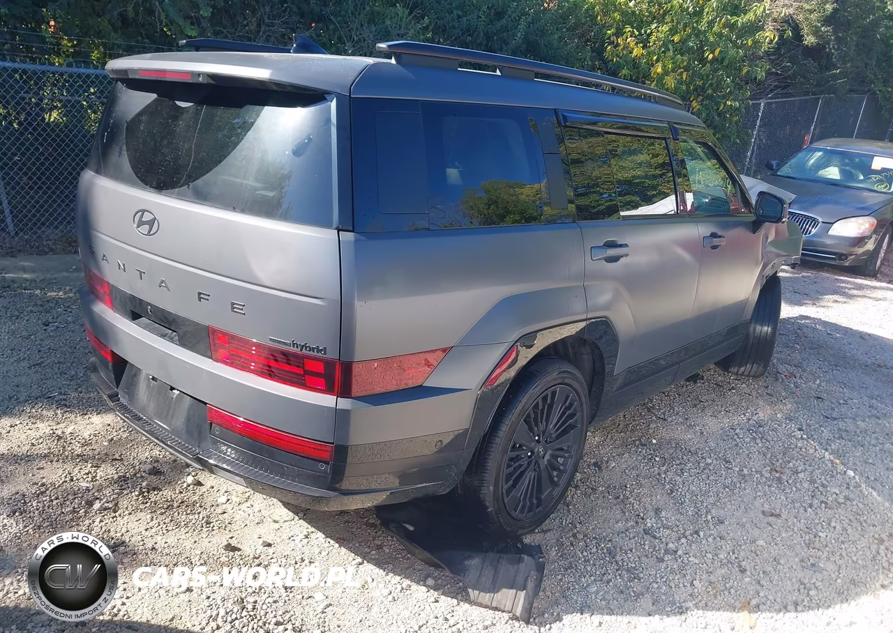 2025 Hyundai Santa Fe Hybrid Calligraphy VIN:5NMP5DG11SH066257 - 4