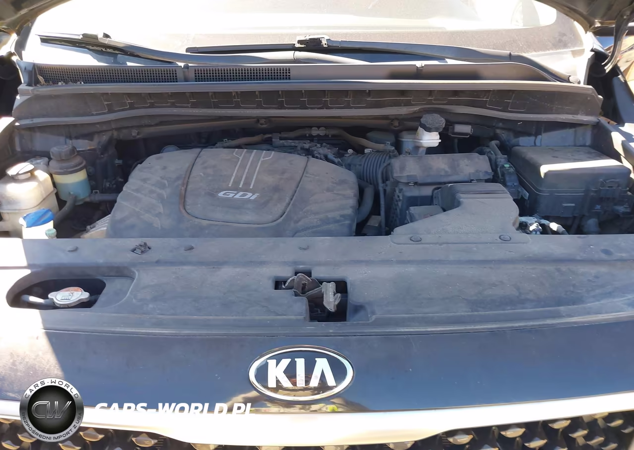2016 Kia Sedona Lx VIN:KNDMB5C17G6182056 - 10