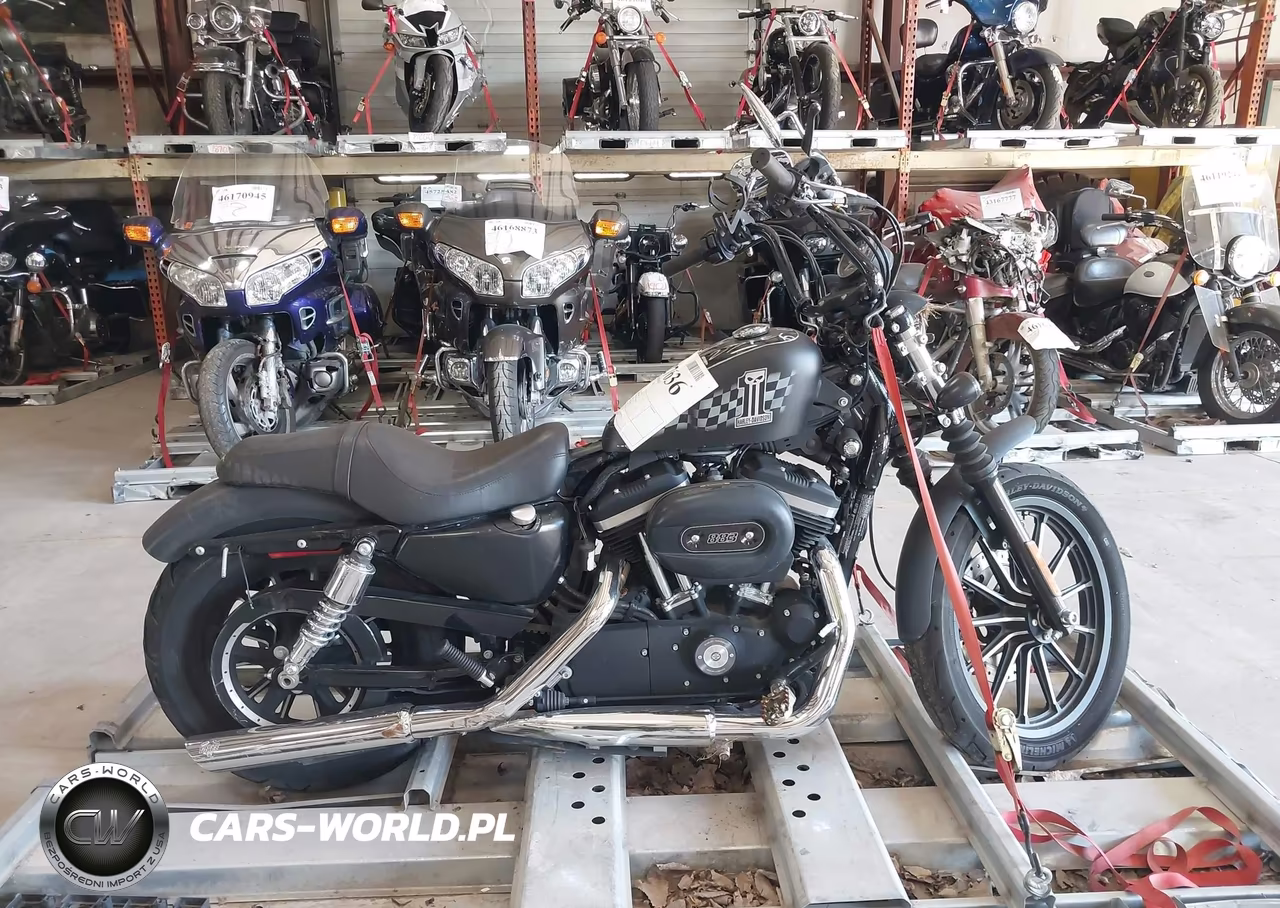 2014 Harley-Davidson Xl883 Iron 883 VIN:1HD4LE214EC419114 - 12