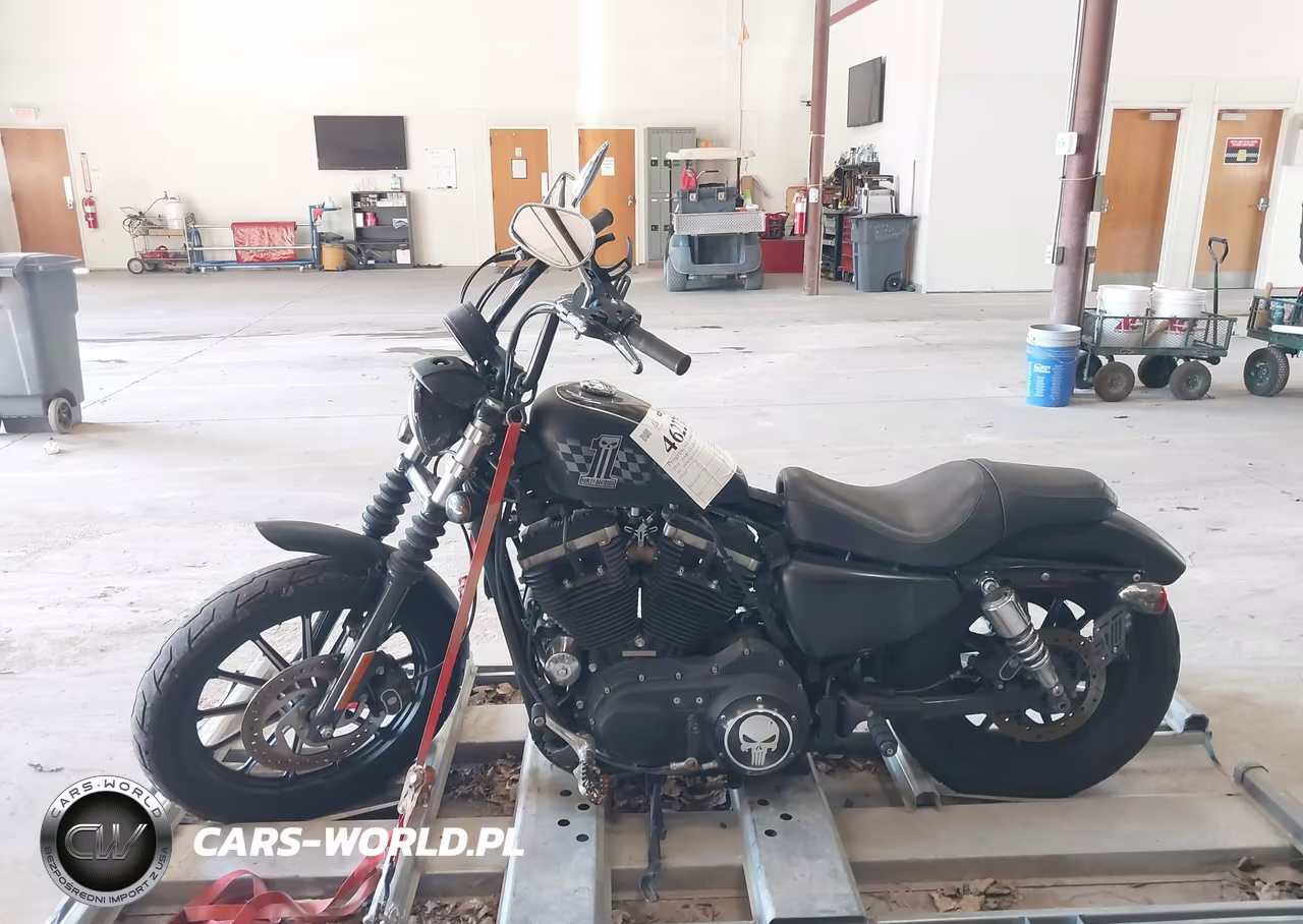 2014 Harley-Davidson Xl883 Iron 883 VIN:1HD4LE214EC419114 - 13