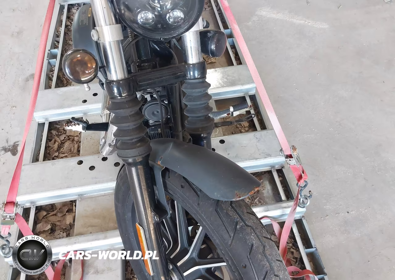 2014 Harley-Davidson Xl883 Iron 883 VIN:1HD4LE214EC419114 - 14