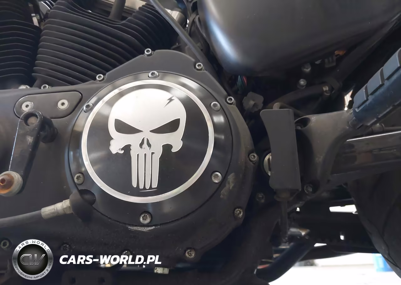 2014 Harley-Davidson Xl883 Iron 883 VIN:1HD4LE214EC419114 - 18