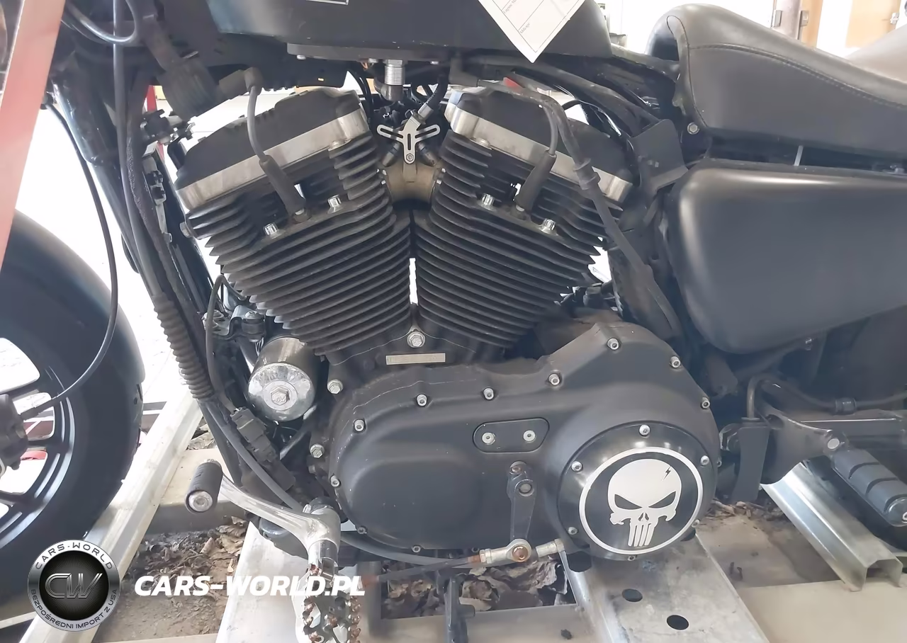 2014 Harley-Davidson Xl883 Iron 883 VIN:1HD4LE214EC419114 - 9