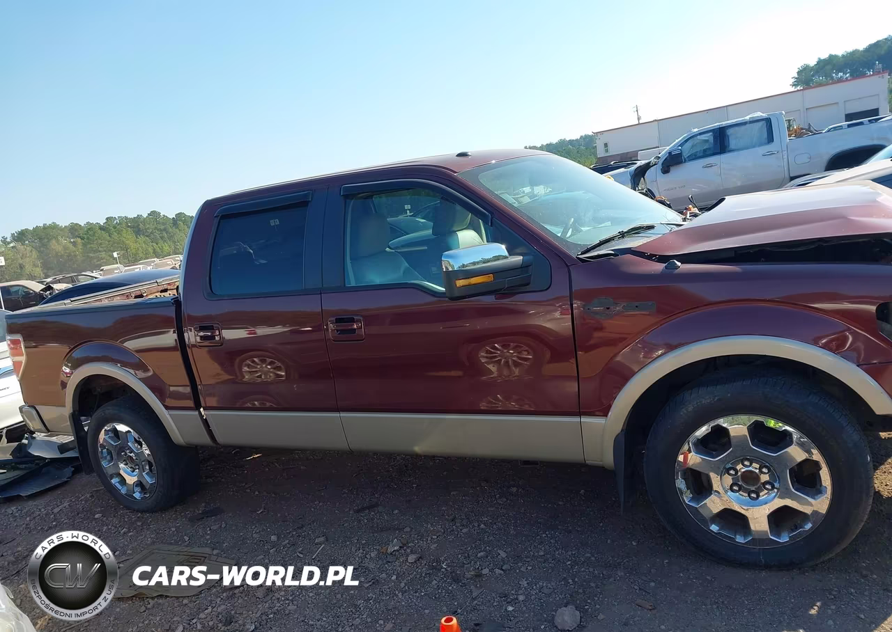 2009 Ford F-150 King Ranch-Lariat-Platinum-Xl-Xlt VIN:1FTPW12VX9FA80946 - 13