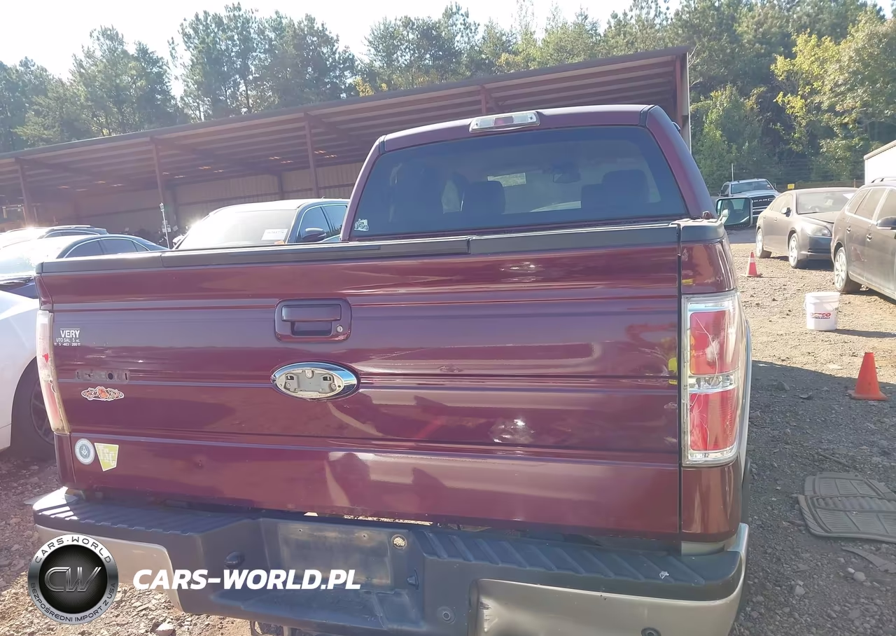 2009 Ford F-150 King Ranch-Lariat-Platinum-Xl-Xlt VIN:1FTPW12VX9FA80946 - 16