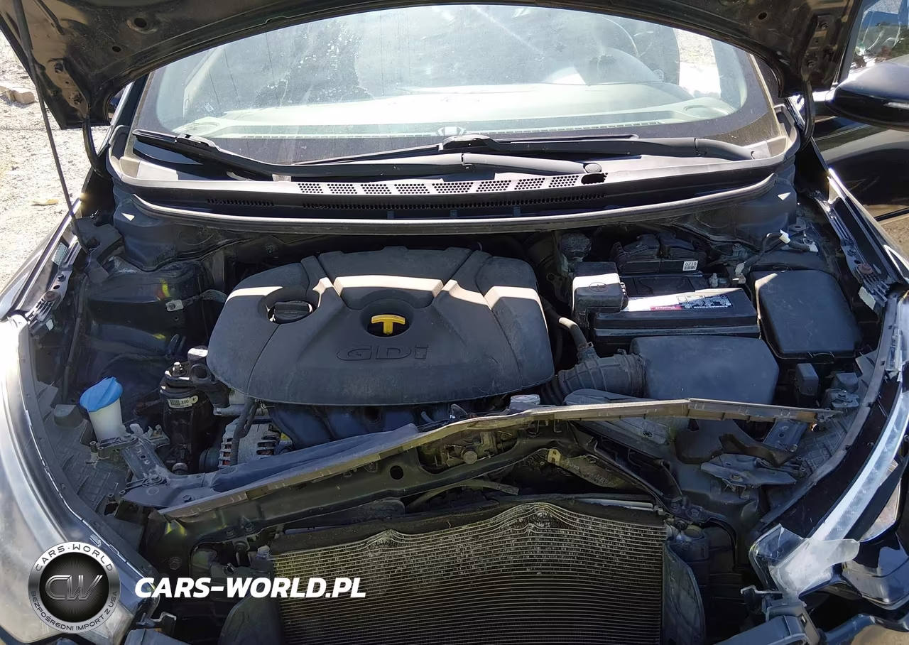 2016 Kia Forte Ex VIN:KNAFX5A85G5529851 - 10