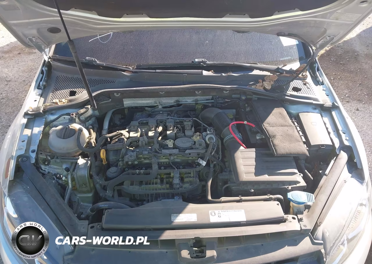 2017 Volkswagen Golf Sportwagen VIN:3VWC17AU5HM527008 - 10