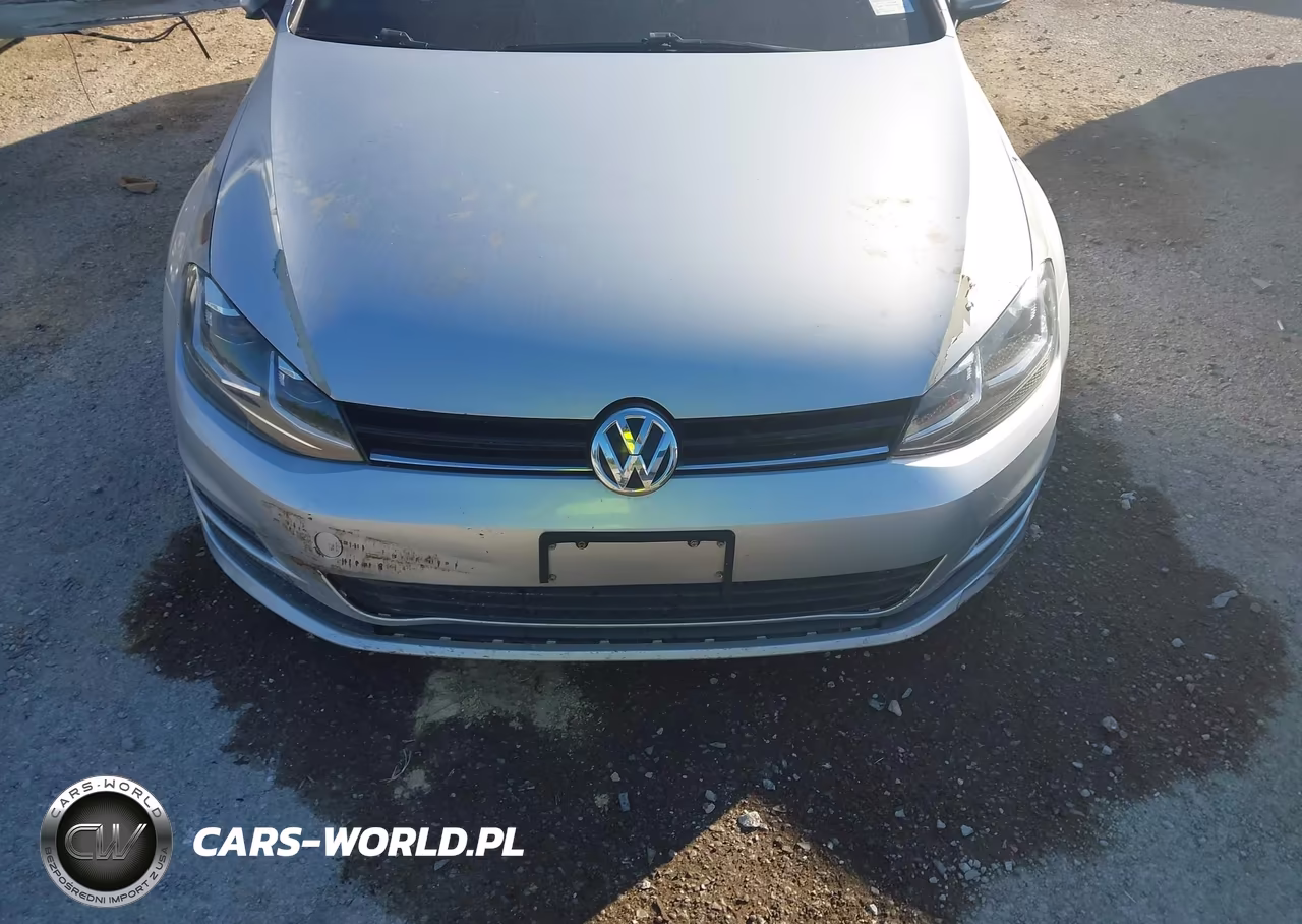 2017 Volkswagen Golf Sportwagen VIN:3VWC17AU5HM527008 - 11