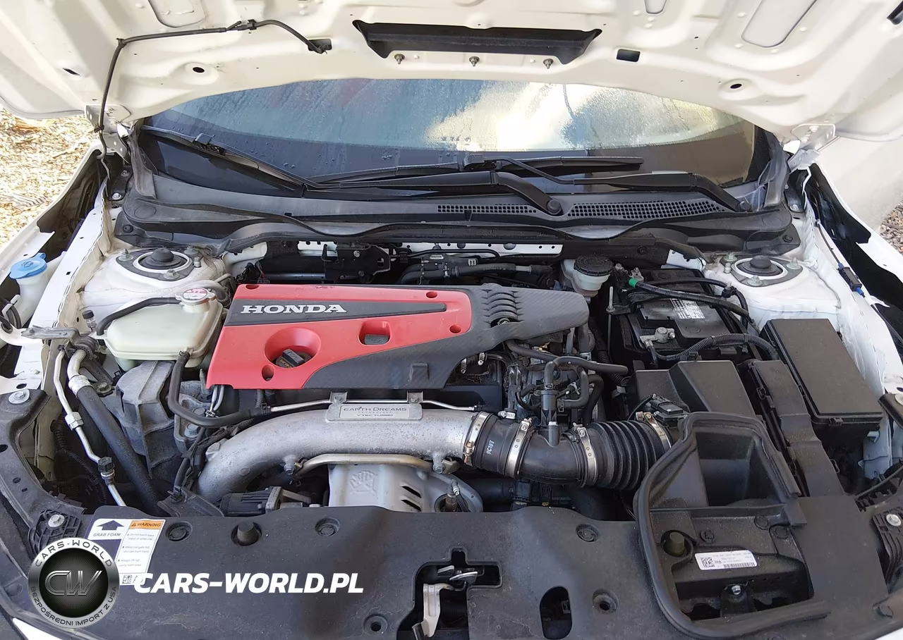 2019 Honda Civic Type-R Touring VIN:SHHFK8G70KU201177 - 10