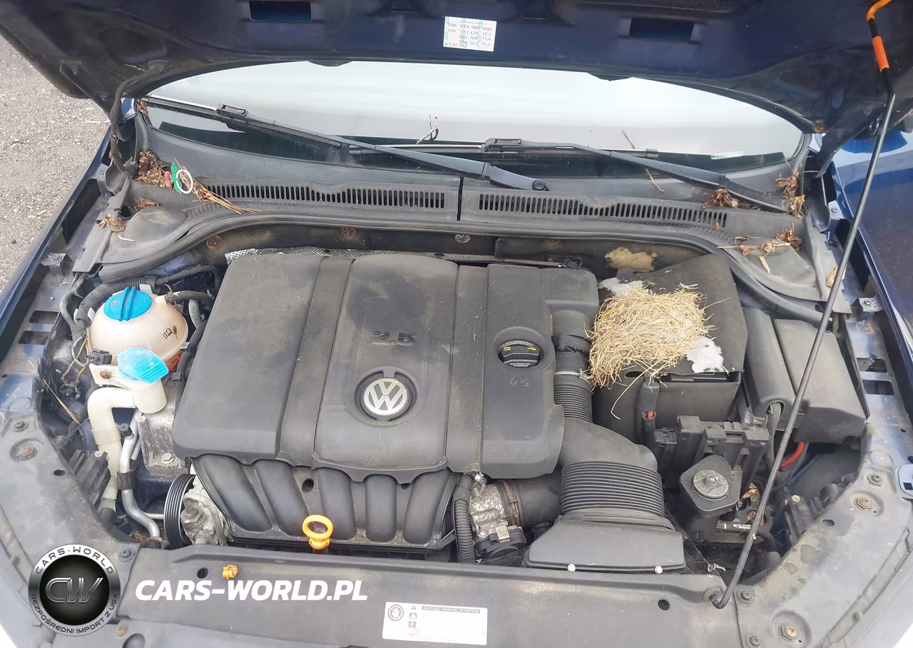 2011 Volkswagen Jetta 2.5L Sel VIN:3VWLZ7AJ9BM021512 - 10