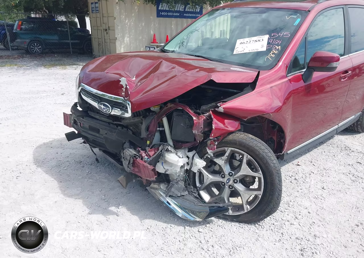 2017 Subaru Forester 2.5I Touring VIN:JF2SJAWC5HH442056 - 6