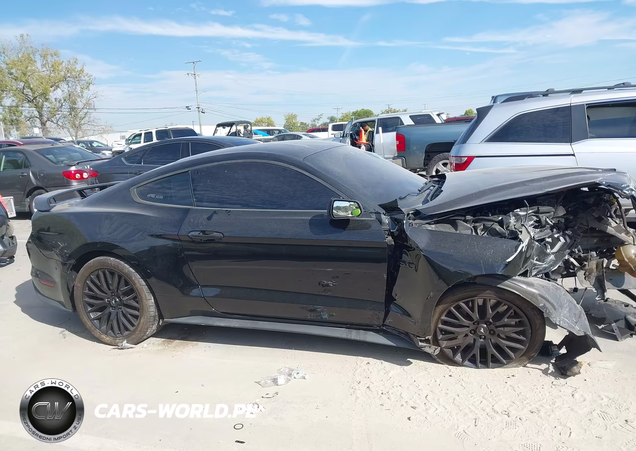 2019 Ford Mustang Gt VIN:1FA6P8CF3K5114610 - 12