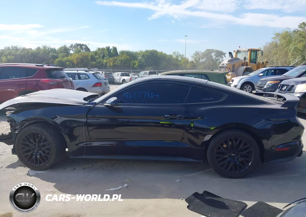 2019 Ford Mustang Gt VIN:1FA6P8CF3K5114610 - 13