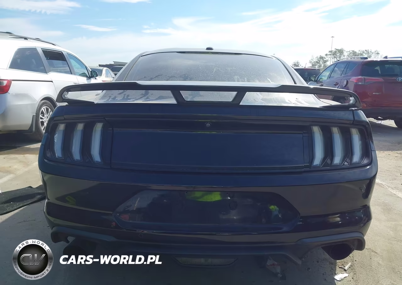 2019 Ford Mustang Gt VIN:1FA6P8CF3K5114610 - 15