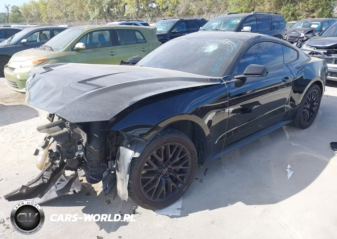 2019 Ford Mustang Gt VIN:1FA6P8CF3K5114610 - 2