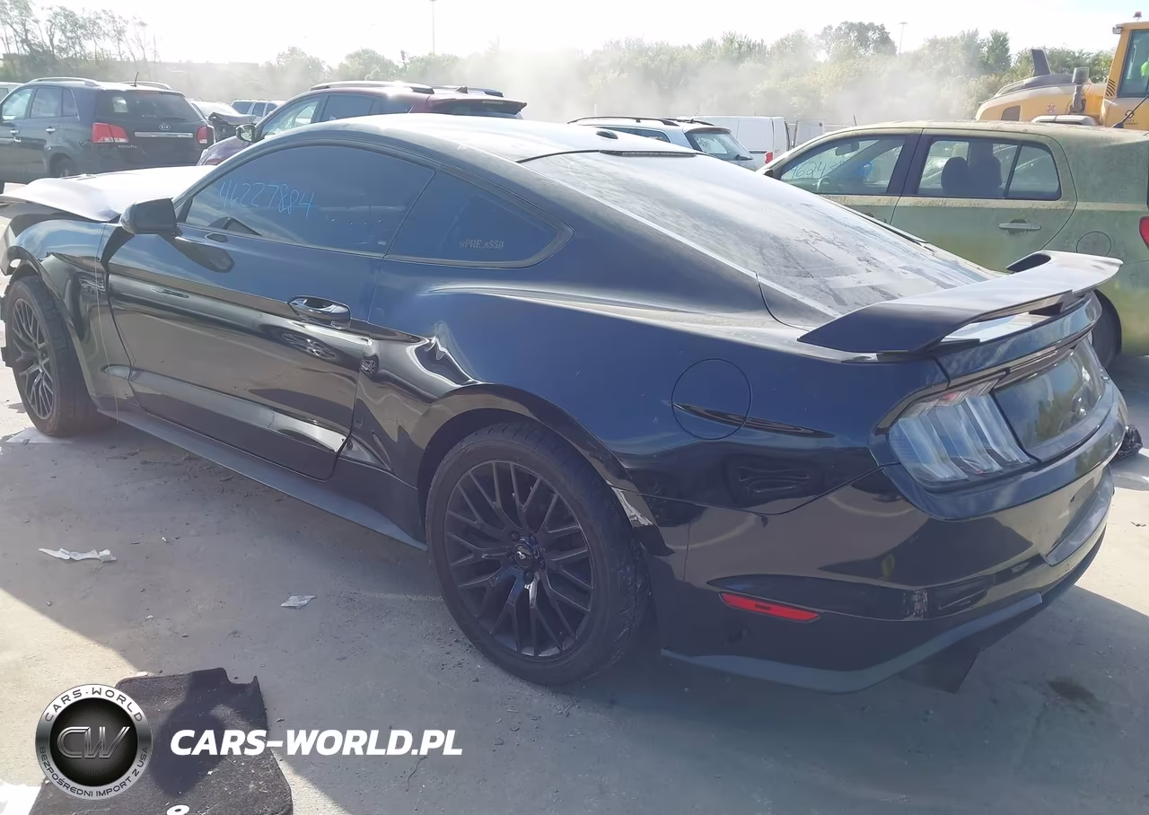 2019 Ford Mustang Gt VIN:1FA6P8CF3K5114610 - 3